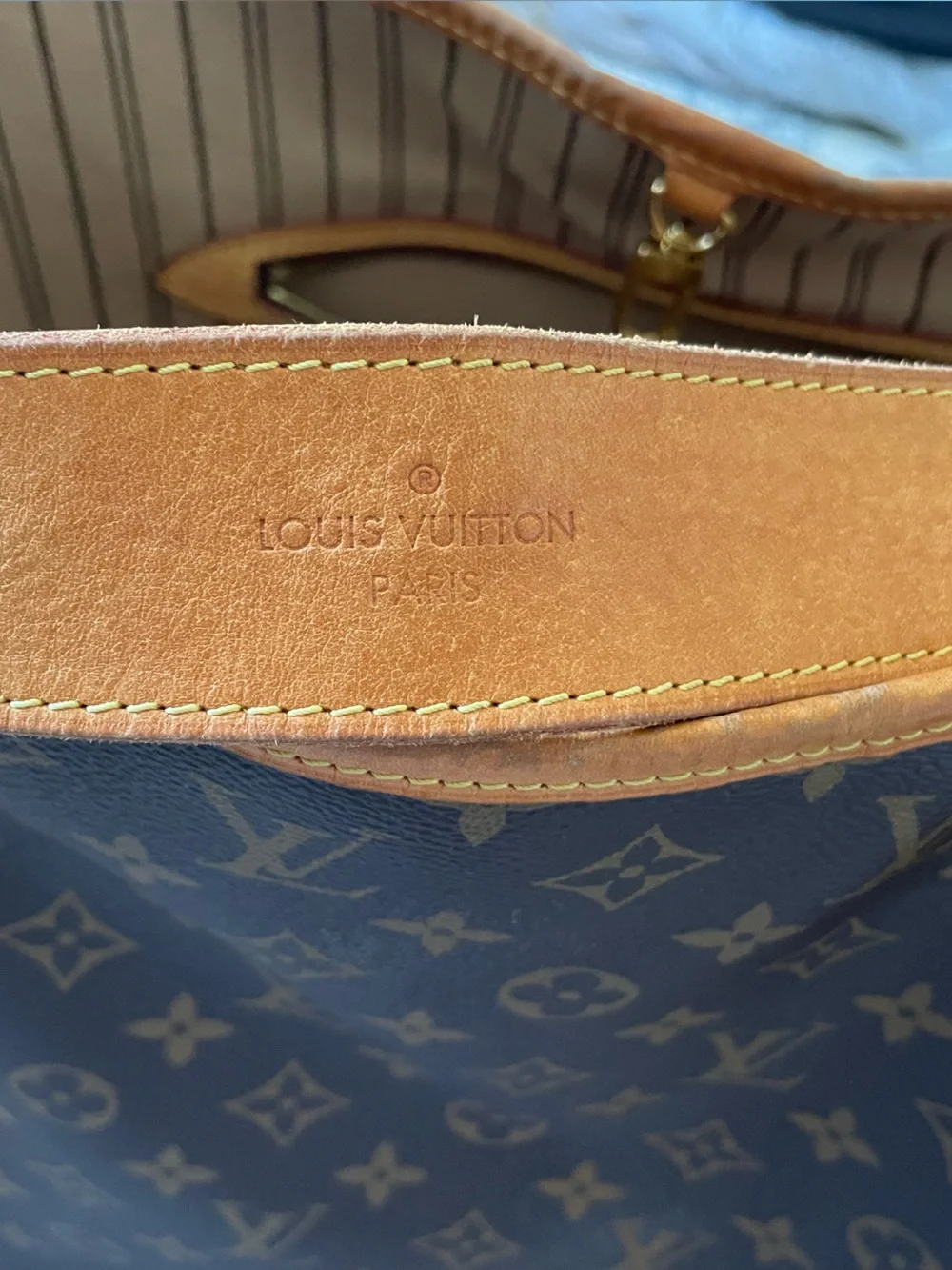 Authentic Louis Vuitton Monogram Delightful MM Bag - Picture 11 of 16